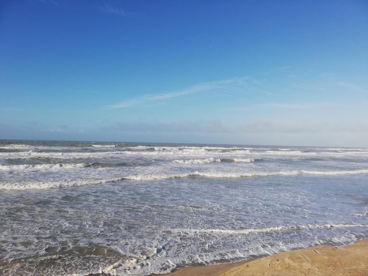 Ferienwohnung Joli Appt Cocooning Au Pied Des Dunes Berck Exterior foto