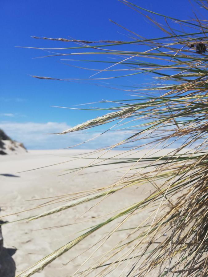 Ferienwohnung Joli Appt Cocooning Au Pied Des Dunes Berck Exterior foto